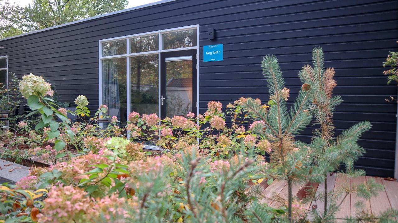 Comfort Rooms By Europarcs De Hooge Veluwe Arnhem Rom bilde